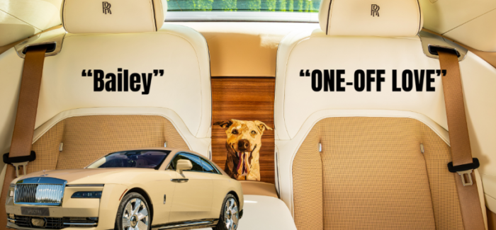 Spectre Bailey: Rolls-Royce Turns A Dog’s Love Into Bespoke Art