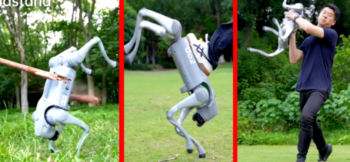 Watch Unitree’s Robot Dog Train Itself Using Reinforcement Learning